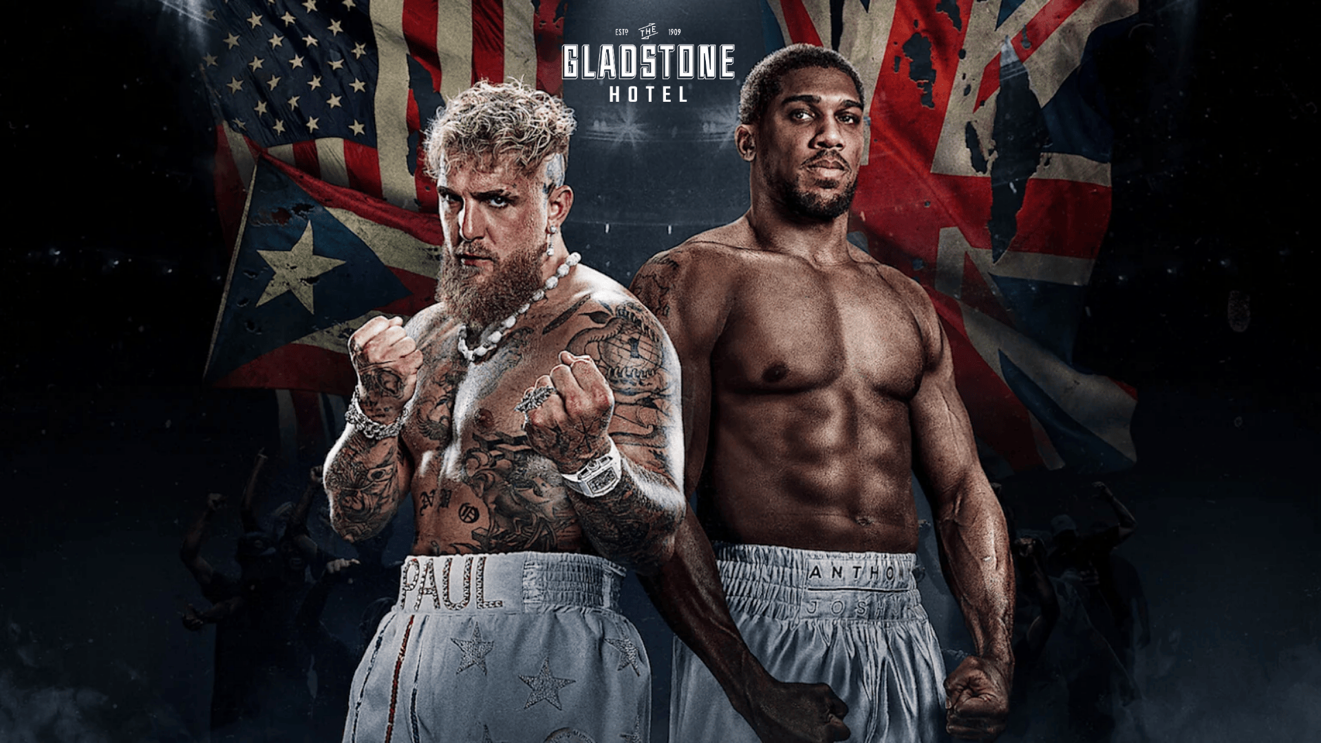 Jake Paul v Anthony Joshua